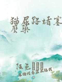 猫尿路堵塞吃什么药