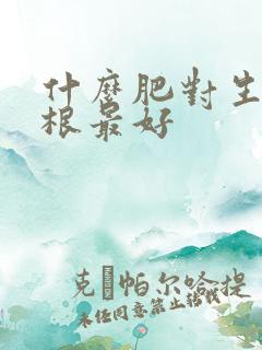 什么肥对生根养根最好