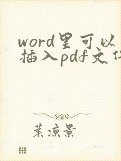 word里可以插入pdf文件