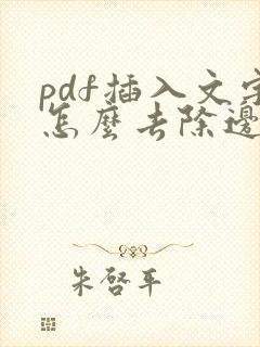 pdf插入文字怎么去除边框