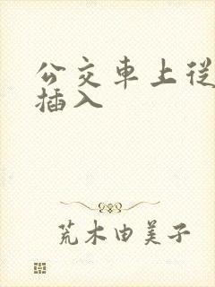 公交车上从背后插入
