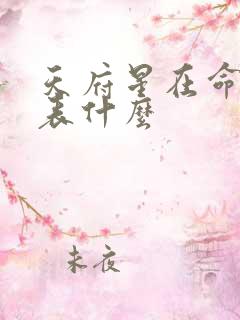 天府星在命宫代表什么
