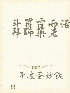 斗罗霍雨浩开局拜师药老