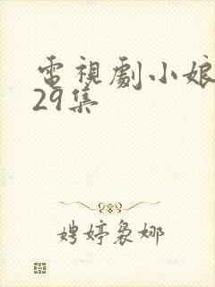 电视剧小娘惹第29集