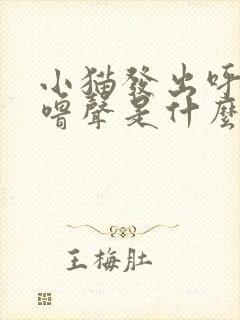 小猫发出呼噜呼噜声是什么意思