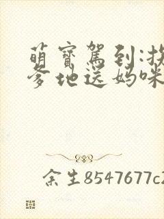 萌宝驾到:拐个爹地送妈咪