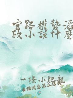 官路权势滔天宁欣小说什么书名
