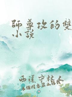师尊攻的双男主小说