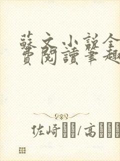 苏文小说全文免费阅读笔趣阁