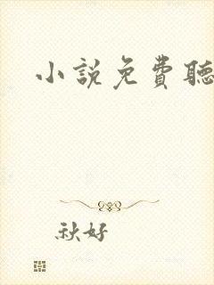 小说免费听大全