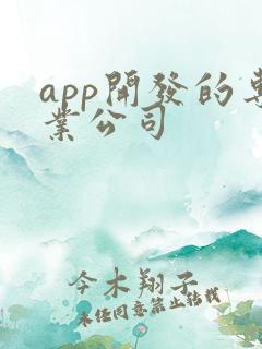 app开发的专业公司