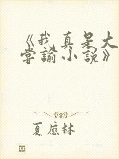 《我真是大明星尝谕小说》