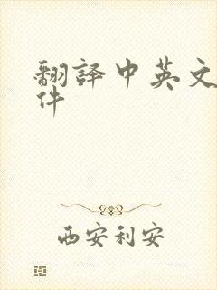 翻译中英文的软件