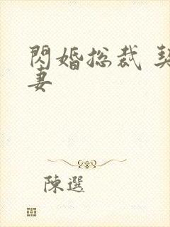 闪婚总裁 契约妻