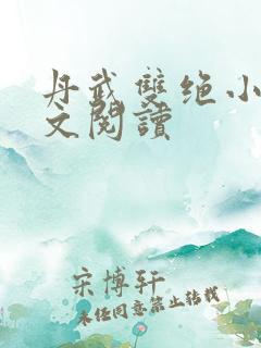 丹武双绝小说全文阅读