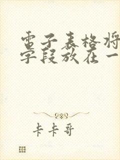 电子表格将相同字段放在一起
