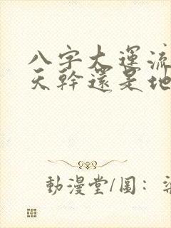 八字大运流年看天干还是地支