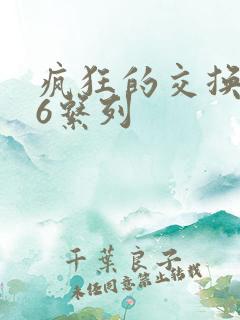疯狂的交换1一6系列