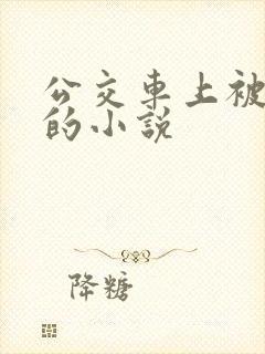 公交车上被侵犯的小说