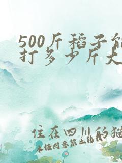 500斤稻子能打多少斤大米