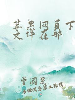 苹果网页下载的文件在哪
