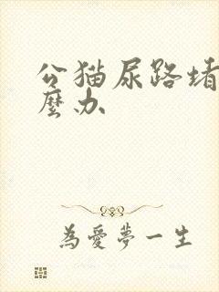 公猫尿路堵塞怎么办
