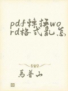pdf转换word格式乱怎么调整