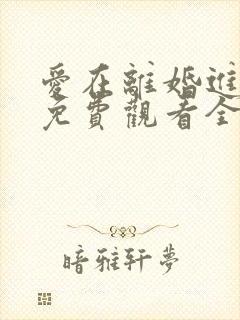 爱在离婚进行时免费观看全书