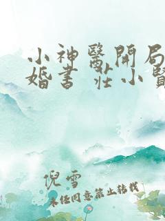 小神医开局九张婚书 庄小贤