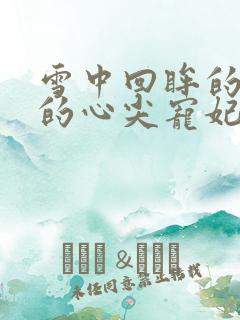 雪中回眸的四爷的心尖宠妃