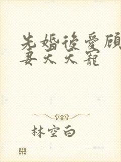 先婚后爱顾少娇妻天天宠