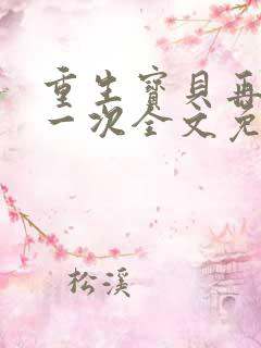 重生宝贝再爱你一次全文免费阅读