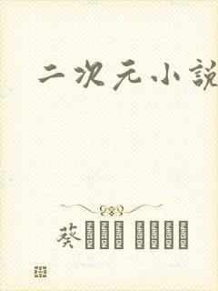 二次元小说网站