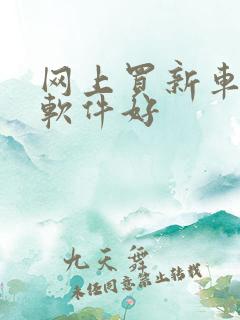 网上买新车哪个软件好