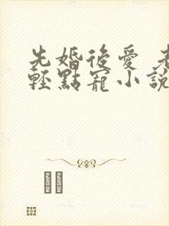先婚后爱 老公轻点宠小说