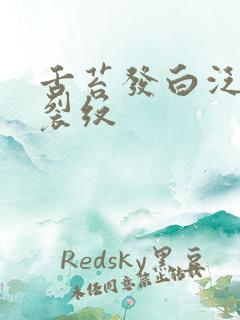 舌苔发白泛黄有裂纹