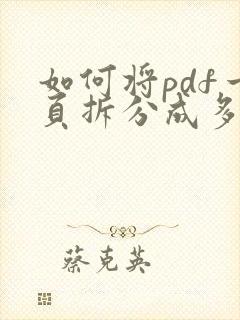 如何将pdf一页拆分成多页