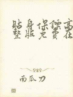 贴身保镖高清完整版免费在线观看