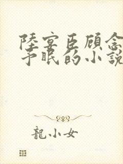 陆宴臣顾念夕姜予眠的小说免费阅读
