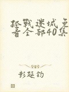 孤战迷城免费观看全部40集