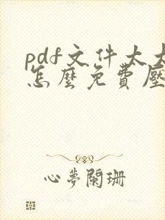 pdf文件太大怎么免费压缩