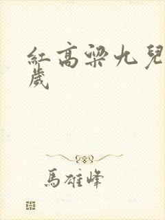 红高粱九儿多少岁