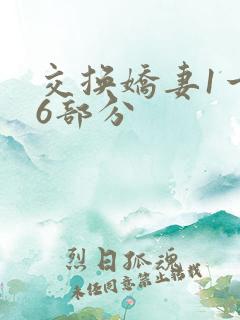 交换娇妻1一36部分