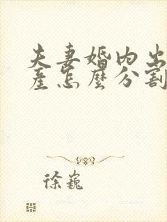 夫妻婚内出轨财产怎么分割