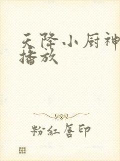 天降小厨神免费播放