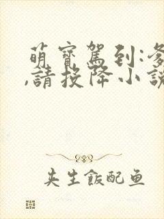 萌宝驾到:爹地,请投降小说免费阅读
