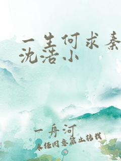 一生何求秦菲雪沈浩小