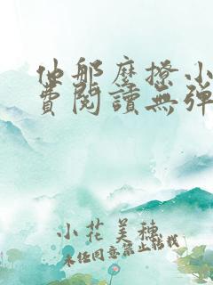 他那么撩小说免费阅读无弹窗