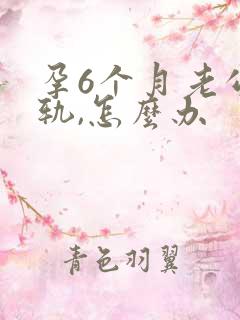 孕6个月老公出轨,怎么办