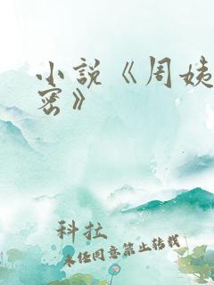 小说《周姨的秘密》